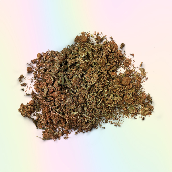 BUY JACKPOT SHAKE ONLINE (HYBRID)
