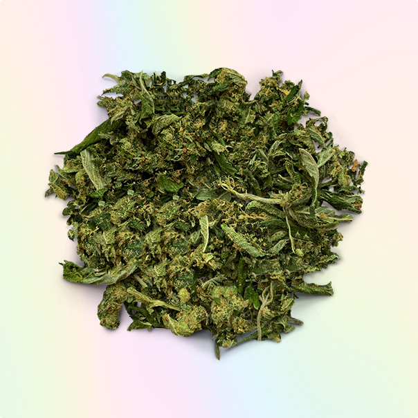 BUY SKYWALKER SHAKE ONLINE US (HYBRID)