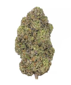 Buy Amnesia Haze Strain Online US
