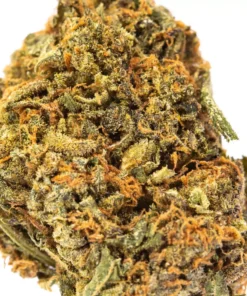 Buy Blue Cheese strain Online US