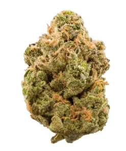 Buy Stardawg Strain Online in the UK