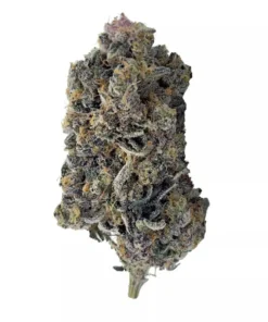 Buy Tropicana Cookies Strain Online US